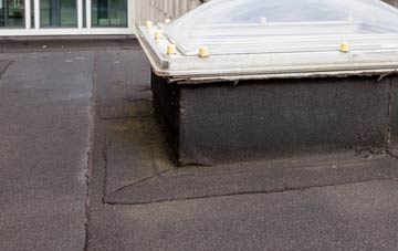 disadvantages of Loppergarth flat roofs